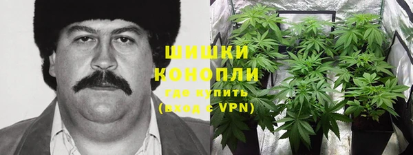 apvp Семилуки
