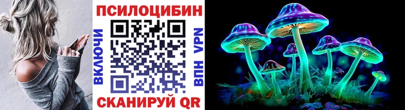 купить закладку  Сосновоборск  Псилоцибиновые грибы Psilocybe 