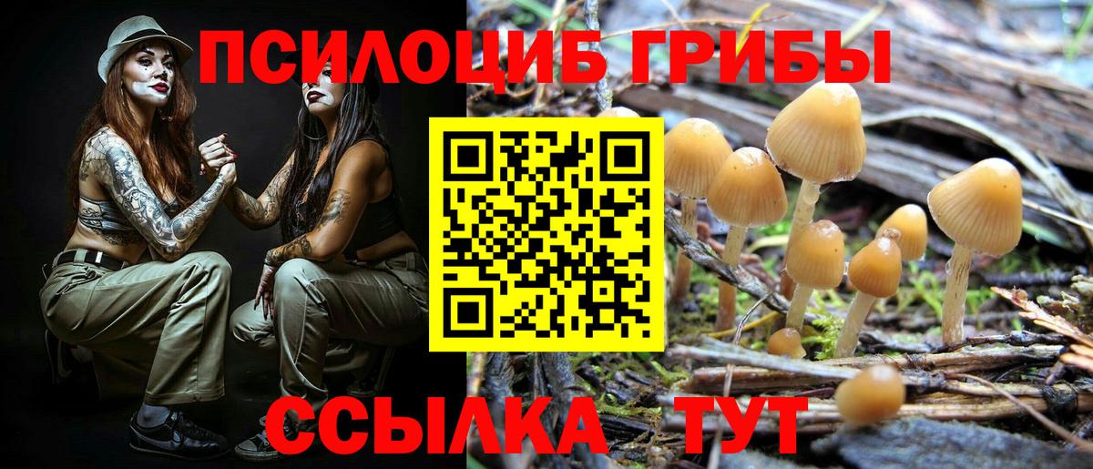Псилоцибиновые грибы MAGIC MUSHROOMS  Галлюциногенные грибы ЛСД  Вход с VPN  Сосновоборск 