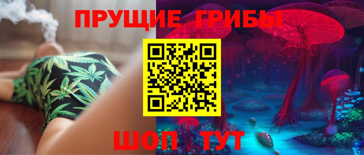 Псилоцибиновые грибы Cubensis  Сосновоборск 