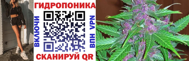 Бошки Шишки AK-47  закладка  Сосновоборск 